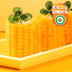 天勤粒粒净 玉米糯玉米新鲜现摘天勤粒粒净真空有机黏粘真空袋装甜糯玉米