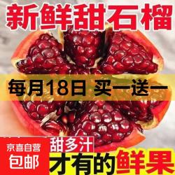 其他家 突尼斯大粒软籽石榴 带箱4斤