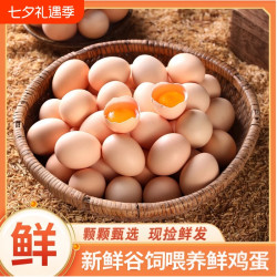 林味宝 新鲜鲜鸡蛋甄选谷饲喂养草鸡蛋蛋品营养美味口感佳