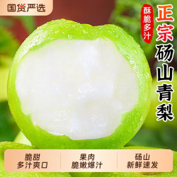 福瑞达 正宗砀山梨青梨当季新鲜水果翠冠梨香酥脆蜜早雪梨砀山大青梨整箱