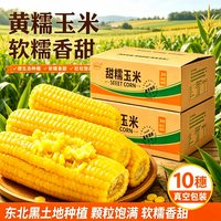馋乡玉 东北黄糯玉米6根*1250g