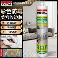 速的奥 CS中性防霉防水玻璃胶 300ml