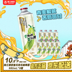 珠江啤酒 珠江 原浆苦瓜青瓜味啤酒 980mL9罐