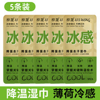 降温冰巾湿巾冰感去汗薄荷毛巾运动户外跑步学生防暑清凉神器防晒 加大款 1片*5包