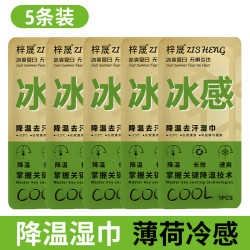 降温冰巾湿巾冰感去汗薄荷毛巾运动户外跑步学生防暑清凉神器防晒 加大款 1片*5包