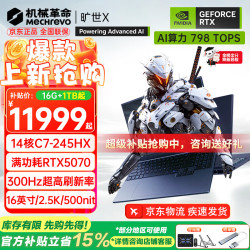 机械革命 旷世X（C7-245HX、5070、16G、1T）