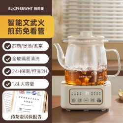 LOCK&LOCK 乐扣中药电煎壶煎药壶全自动熬中药凉茶壶家用全玻璃EJK3955WHT