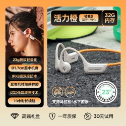 SHEYIN 专业运动 骨传导耳机
