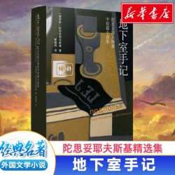 罪与罚 陀思妥耶夫斯基著长篇心理小说 汝龙译 卡拉马佐夫兄弟被侮辱与被损害的人白痴地下室手记世界名著外国文学原著译林出版社