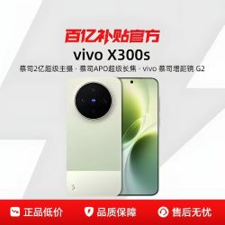 vivo x300s