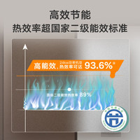 威能 turboMAX classic 36kW 二级能效 天然气壁挂炉