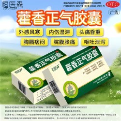 恒医森 藿香正气胶囊