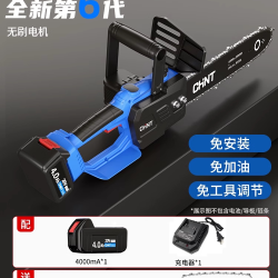 正泰 ZTGLDSJ 电锯 12寸无刷实用王者 20V4.0AH 一电一充+2链条