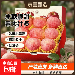 红富士 新疆冰糖心红富士苹果产地直发薄皮苹果新鲜水果脆甜多汁整箱批发 带箱9斤净重8.5斤 大果75mm