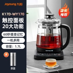九阳 恒温保温 养生壶