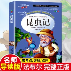 稻草人书三年级上册必读的课外书格林童话安徒生叶圣陶著快乐读书吧三上全套3册老师推荐阅读经典书目