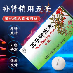 同仁堂 北京同仁堂五子衍宗丸