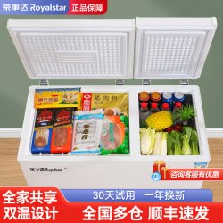 荣事达 108L双温冰柜家用冷藏冷冻双用一体节能商用小型冷柜卧式