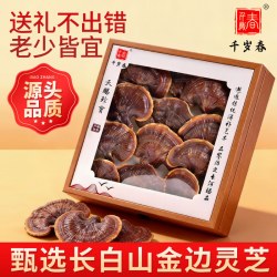 灵芝金边赤整朵礼盒父亲节端午送礼走亲戚长辈礼品长白山