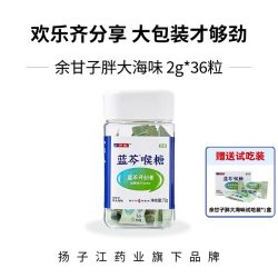 护佑 扬子江蓝芩喉糖 胖大海金银花硬糖糖果零食草本无糖0脂36粒
