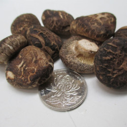 花菇哥 小花菇金钱菇冬菇香菇干货500克