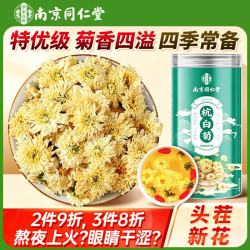 南同四海 菊花茶 特级 100g