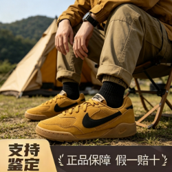 NIKE Terra Manta 舒适百搭 低帮 板鞋 棕色 HV9702-700