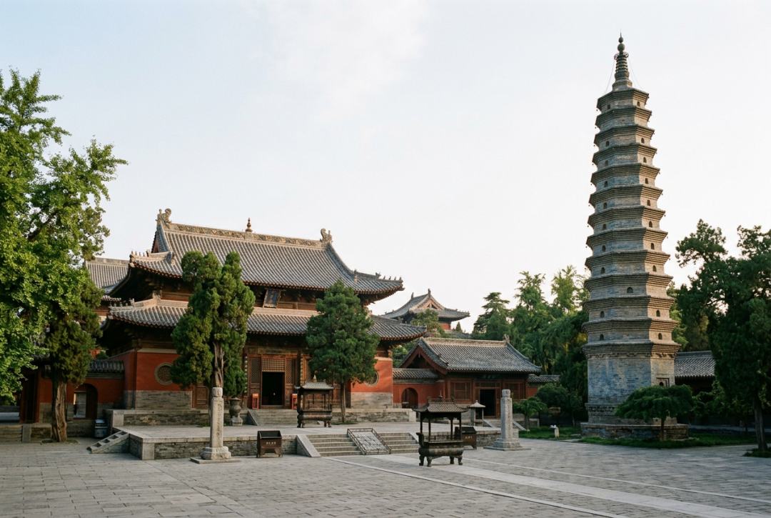耳朵比人高、建寺比佛经早——郑州高铁40分钟,来玩龙门石窟+白马寺