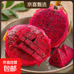 京喜加 广西金都一号红心火龙果小果1斤半带箱净重1斤2两（单个220g+）