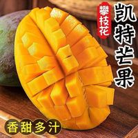 集南鲜 攀枝花凯特芒 400g 净重9斤