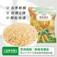 盖亚农场 精选糙米500g*2袋