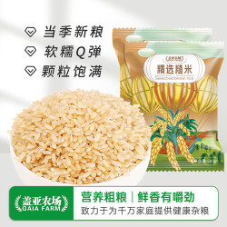 盖亚农场 精选糙米500g*2袋