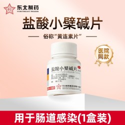 东北 盐酸小檗碱片100片黄连素片肠胃炎急慢肠炎肠道感染腹泻官方正品
