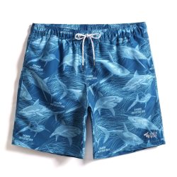 盖浪 夏季三亚度假沙滩裤男速干冲浪裤健体赛裤短裤可下水宽松泳裤