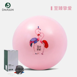 迪玛森 瑜伽球球加厚防爆助产分娩孕期瑜珈球减肥运动大球