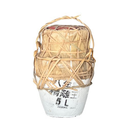 会稽山 香雪酒 5000ml 10斤八年坛装