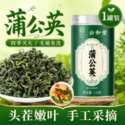 SUN CLARA 蒲公英茶正宗中药材新鲜散茶干草不特级野生浦公英叶根婆婆丁泡水