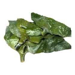 盐渍海带头凉拌菜 盐渍海带头普通款500克*1袋赠同款一件