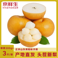 京鲜生 山东莱阳秋月梨 净重1.5kg 单果300g以上 生鲜水果 源头直发