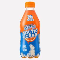 北冰洋 桔汁汽水 300ml×6瓶 碳酸饮料