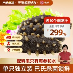 晓芹 海参 即食海参 方便即食 16-20头