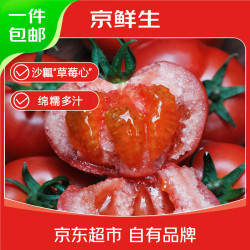 京鲜生 沙瓢番茄 普罗旺斯西红柿  陕西泾阳普罗旺斯西红柿4.5斤/箱 陕西产区 4.5斤 单90g+果味更足