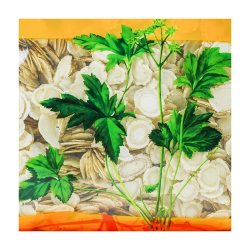 瓦屋山药业 中药饮片 西洋参片 片 中药材抓配 中药材店铺大全