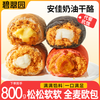 碧翠园 全麦欧包咸口肉松面包粗粮早餐营养高蛋白健身代餐饱腹零食