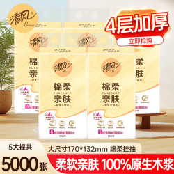 清风 抽纸悬挂式抽纸4层加厚面巾纸 4层1000张 5大提