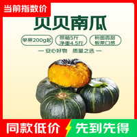 贝贝南瓜 带箱5斤净重 4.5斤
