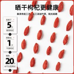 杞硕 宁夏中宁头茬红枸杞250g特优级免洗久放干燥不熏硫苟杞子