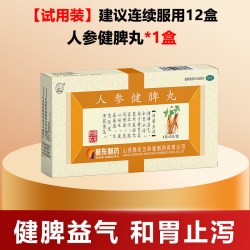 太行山 振东制药人参健脾脾丸理气消化不良肚子胀气止泻祛湿便秘调理脾胃