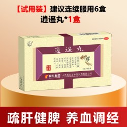太行山 振东制药逍遥丸疏肝健脾养血肝气不舒月经不调调理气血加味