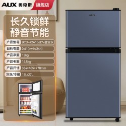 奥克斯 BCD-56A176FG 双开门小型冰箱